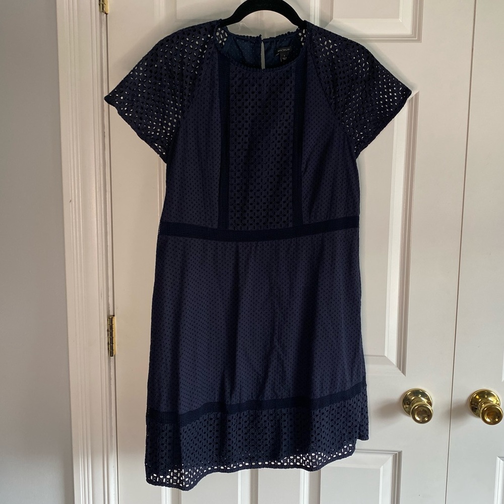 Ann Taylor Navy Blue Short Sleeve Eyelet Shift Dress